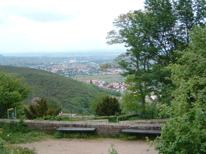 DSCF0032